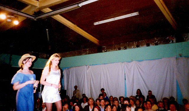 1980s-93